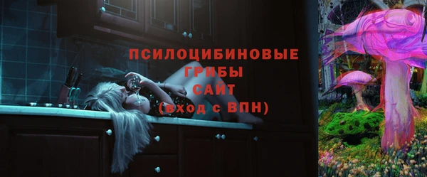 ешки Сатка