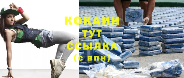 тгк Галич
